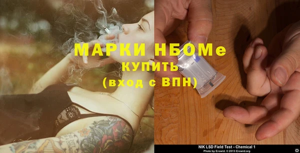 гидра Саяногорск