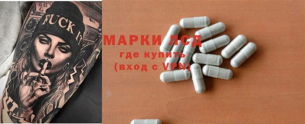 прущие грибы Абинск