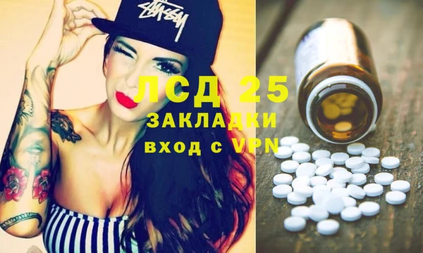 прущие грибы Абинск