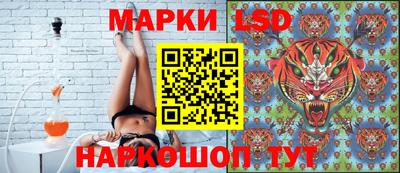 спиды Кинель